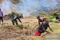 Prajurit TNI Satgas Yonif 511/DY pastikan keamanan bakar batu di Mokoni Lanny Jaya