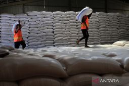 Dirut Bulog sebut stok beras di awal 2026 capai 3,25 juta ton