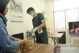 Sepanjang 2025, DKP Tangerang berikan pengobatan gratis 4.032 hewan