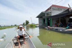 Lima kecamatan di Lamongan terdampak banjir Bengawan Jero