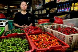 PIHPS rilis harga pangan hari ini: cabai rawit merah Rp69.750/kg, telur ayam Rp33.000/kg