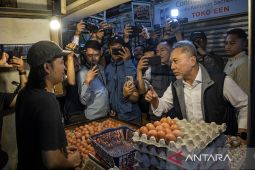 Menko Bidang Pangan dan Mendag tinjau harga pangan jelang Tahun Baru