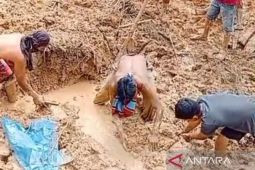 Aksi heroik Gemdeman evakuasi korban longsor Tapanuli Utara