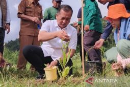 Gubernur Iqbal: Kerusakan hutan lahir kantong kemiskinan ekstrem baru