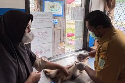 Dinas Pertanian Kota Jambi vaksinasi rabies 850 hewan peliharaan 2025