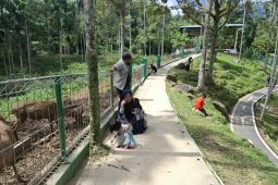 Taman penangkaran rusa Lampung jadi tujuan wisata edukasi di libur penghujung tahun