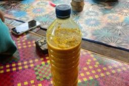 Petani Lombok Tengah manfaatkan pestisida nabati kurangi bahan kimia