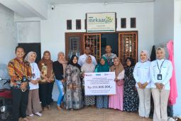 BRINS bayarkan klaim asuransi 188 UMKM terdampak erupsi Semeru