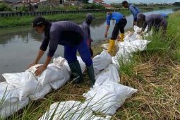 Cegah banjir, Pemkot Tangerang siaga karung berpasir di bantaran kali