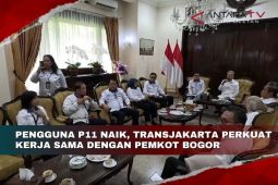 Pengguna P11 naik, TransJakarta perkuat kerja sama dengan Pemkot Bogor