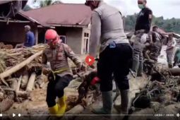 Ini temuan awal pembalakan liar pemicu banjir Sumatera - VIDEO