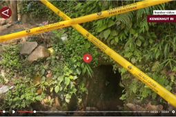 Kemenhut dan Satgas PKH tutup 55 tambang emas ilegal di Lebak - VIDEO