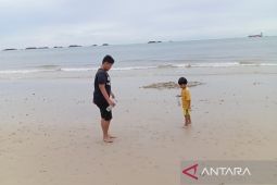 Pasang laut Kaltim 2,8-3,1 meter berpotensi rusak tambak