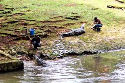 Puncak pengunjung Ragunan diperkirakan  capai 100 ribu pada 1 Januari 2026