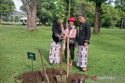 Pengunjung pertama ke Candi Borobudur tahun 2026 dapat suvenir dan tanam pohon
