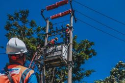 Tarif listrik Triwulan I 2026 tidak naik, PLN tegaskan dukungan dan komitmen jaga keandalan serta kualitas layanan