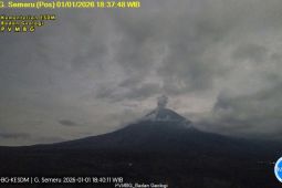 Kamis malam Semeru erupsi dengan tinggi letusan 900 meter