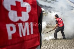 Dinkes Tangerang imbau masyarakat waspadai lima penyakit di musim hujan