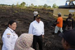 Kementan: Optimasi lahan memperkuat swasembada beras