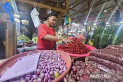 Ekonomi Papua 2025 tumbuh 4,21 persen pada triwulan ketiga