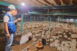 Tarif listrik tidak naik, PLN komitmen jaga kualitas layanan