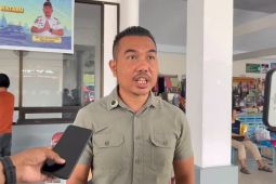 Terminal Palu sebut jumlah penumpang naik 117 persen libur Nataru