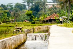 Mentan: Percepatan irigasi pertanian jadi fondasi swasembada beras RI