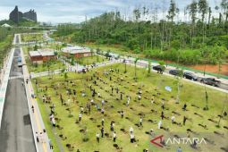 Otorita dorong partisipasi masyarakat tanam pohon di kawasan IKN