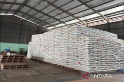 Stok beras di Bulog Belitung awal 2026 capai 282,5 ton