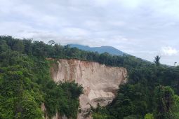 Tebing Ngarai Sianok di Guguak Tinggi longsor setinggi 120 meter