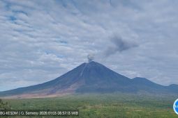 Semeru empat kali erupsi dengan tinggi letusan capai 1 km