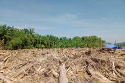 Sungai yang membawa luka, warga Mabang Pasir Tapsel menanti uluran tangan