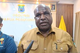 Pemprov pastikan percepatan ekonomi di Papua Pegunungan 2026
