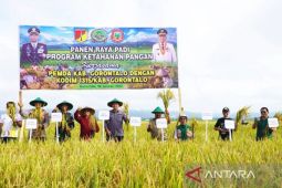 Pemkab Gorontalo dan Kodim panen raya program ketahanan pangan