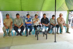 Stok beras daerah bencana aman hingga enam bulan ke depan