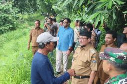 Pemkab Cirebon ganti pohon sawit yang sudah ditanam dengan mangga