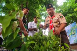 Perhutani bagikan bibit tanaman buah berkayu