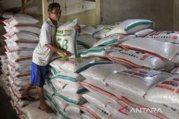 Stok beras Nasional meningkat