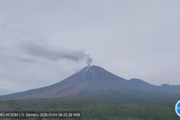 Gempa letusan masih mendominasi aktivitas Gunung Semeru