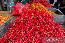 Update PIHPS: Harga cabai, telur, dan beras masih tinggi di pasaran