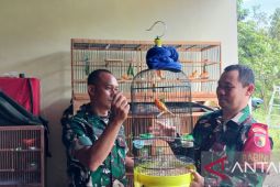 Anggota TNI di Kediri kembangkan budi daya kenari merah lokal