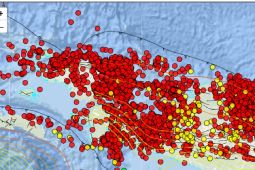 BMKG catat sebanyak 5.141 gempa terjadi di Tanah Papua sepanjang 2025