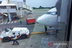 BPS: Penumpang angkutan udara di Babel 132.868 orang