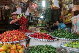 Harga cabai ditingkatan pengecer di Lebak merangkak naik