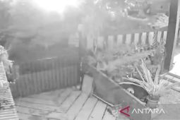 Terungkap! dentuman keras di Cianjur serta kilatan cahaya fenomena atmosfer dan geofisika