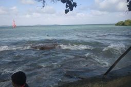 Tumpahan minyak cemari perairan Teluk Sasah-Bintan