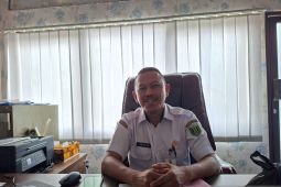 BKPSDM Tabalong petakan nakes untuk kebutuhan RS Kelua