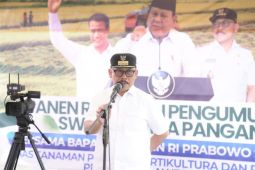 Sulbar surplus beras 70 ribu ton