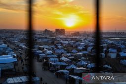 Arab Saudi terus distribusikan bantuan makanan ke pengungsi di Gaza