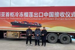 Durian beku Indonesia resmi beredar di pasar China